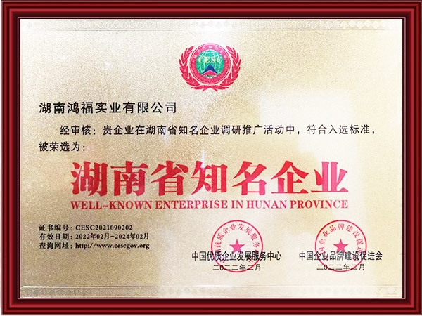 湖南省知名企业